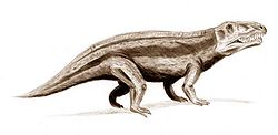  Reconstitution d'Erytrosuchus
