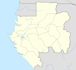 (Voir situation sur carte : Gabon)