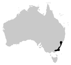 Heleioporus australiacus range.PNG