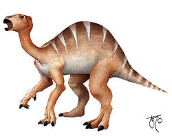  Iguanodon (vue d'artiste)