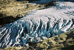 Front glaciaire du Jackson Glacier