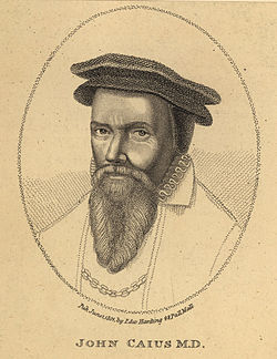 Portrait de John Caius (1510-1583)