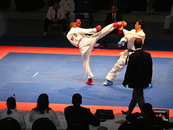 Karate 2011 EM und Karate Team 046.JPG