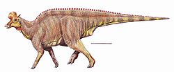  Lambeosaurus laticaudus (vue d'artiste)