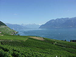 Le lac Léman, en Suisse romande
