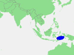 Situation de la mer de Banda en Asie du Sud-Est