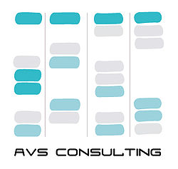 Logo de AVS Consulting