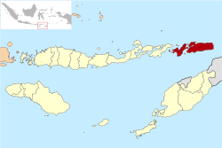 Situation de Alor dans les petites îles de la Sonde orientales.