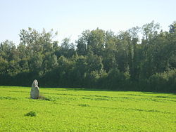 Image illustrative de l'article Menhir de la Grande-Pierre