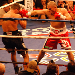 Miguel Cotto.png