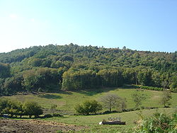 Vue du mont Gargan depuis Saint-Gilles-les-Forêts.