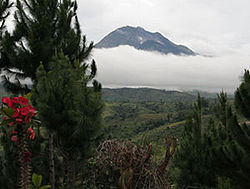 Vue du mont Apo en 2006.