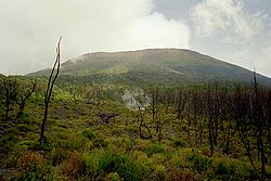 Le Nyiragongo en 2004