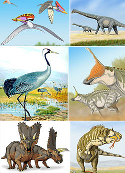  Dans le sens des aiguilles d'une montredepuis en haut à gauche :Tupuxuara leonardi (un ptérosaure),Alamosaurus sanjuanensis, (un sauropode),Tsintaosaurus spinorhinus (in ornithopode),Daspletosaurus torosus (un tyrannosaure),Pentaceratops sternbergii (un cératopsien)et Grus grus (un néornithien)