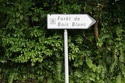 Panneau-forêt-de-Bois-Blanc.jpg