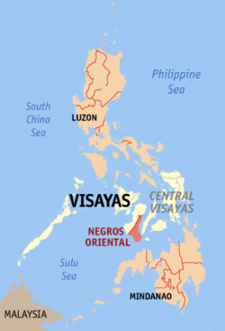 Localisation de la province de Negros Oriental (en rouge) dans les Philippines.