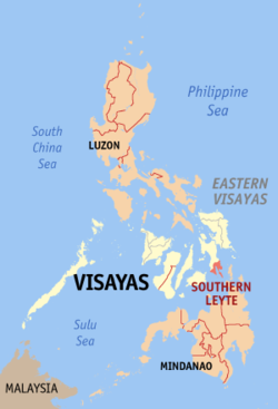 Localisation de la province de Leyte du Sud (en rouge) dans les Philippines.