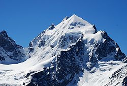 Le Güssfeldtsattel, le Roseg Pitschen, le sommet principal et le Schneekuppe (de gauche à droite)
