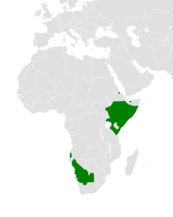 Carte de répartition du fauconnet d'AfriqueRose: Errant au Rwanda.