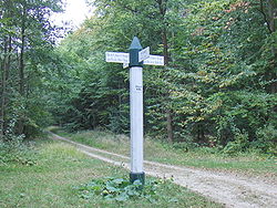 Poteau du Mt Alta - Forêt d'Halatte.jpg