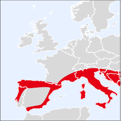Carte de répartition en Europe occidentale