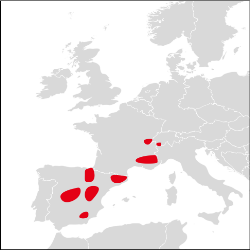 Repartition en Europe occidentale (l'espècepourrait potentiellement être présente sur Pinus sylvestris au sud du Massif Central[1])