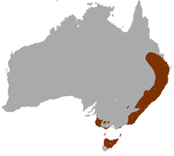Red-necked Wallaby area.png