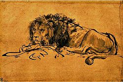  Lion du Cap (tableau de Rembrandt)