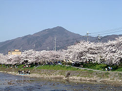 Mont Hiei et cerisiers en fleur vus de Kyōto