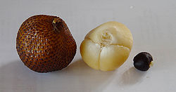 Fruit de Salacca zalacca