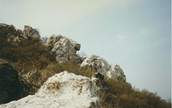 Vue du Medveszikla, rocher sur le Sas-hegy.