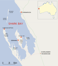 Carte de la baie Shark.