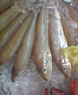  Sillago argentifasciata sur un étalde marché aux Philippines