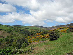 La colline de Snaefell sur l'île de Man