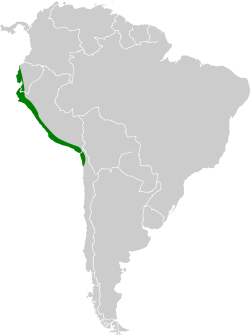 Sturnella bellicosa map.svg