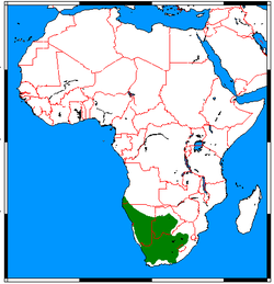 Suricata suricatta range map.png