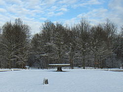 Table - forêt de Chantilly.jpg