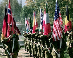 Telemark batallion flag guard front.jpg