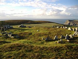 The Meayll circle - Mull Hill - geograph.org.uk - 62530.jpg