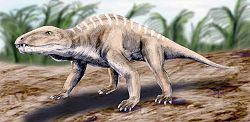  Titanophoneus, un dinocéphalecarnivore du Guadalupéen