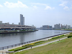 Rivière Sumida