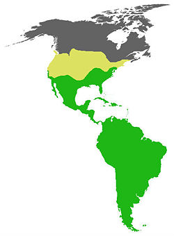 Territoire de distribution de l'urubu à tête rouge.En jaune: territoire ocupé uniquement en été.En vert: territoire occupé toute l'année.