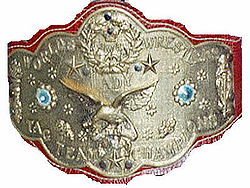 WWF Women's Tag Team Championship.jpg