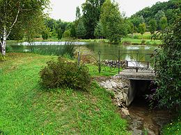 L'étang du Moulin blanc sur la Crempsoulie à Bourgnac.