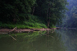 La Green River en 2006.