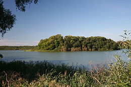 Le lac d'Ivenack et son îlot