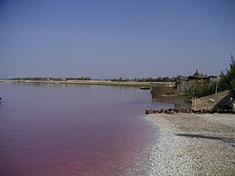 Lac Rose in Senegal.jpg