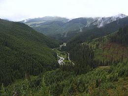La haute-Bistrița à proximité du col de Prislop dans les CarpatesLa Bistrița en Roumanie.