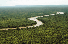 Le fleuve Gambie traversant le Parc national du Niokolo-Koba au Sénégal