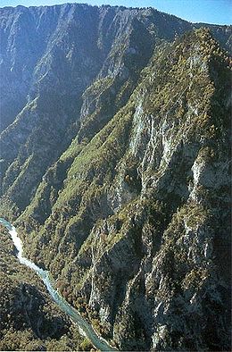 Canyon de la rivière Tara.